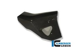 Cache de radiateur droit Carbone - BMW F 800 R (2009-2011)