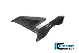 Carénage Panneau Latéral gauche BMW M 1000 R 2023