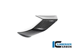 Carénage Side Winglet côté droit BMW S 1000 R 2021