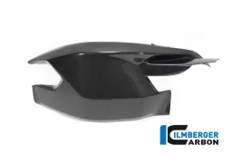 Couvre bras oscillant avec carter supérieur brillant Diavel 1260