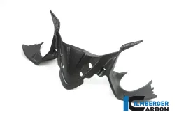 Tableau de bord carbone Ducati Panigale 1299 mat (à partir de 2015)