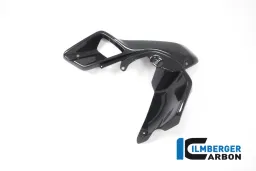 Airtube gauche (couvercle supérieur du refroidisseur d'eau) Carbone - BMW R 1200 GS (LC à partir de 2013)