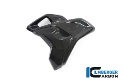 Tube à air complet à gauche, avec volet, BMW R 1200 GS? 17
