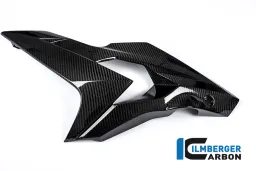 Carénage latéral gauche Carbone Carbone - BMW S 1000 R
