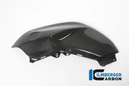 Panneau de réservoir gauche Carbone - BMW R 1200 R (LC) à partir de 2015