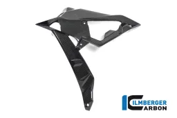 Couvercle de radiateur / Porte-badge gauche - BMW S 1000 R (ab 2017)
