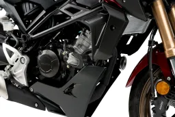 Protection Moteur R19