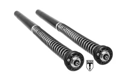 Kit cartouche BLACK-T Stage 4 pour BMW RnineT (2014-2020)