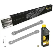 Kit d'abaissement -25 mm pour Harley Davidson 1250 Pan America à partir de 2021 : ressorts de fourche et biellettes +Uniquement sans suspension électronique+