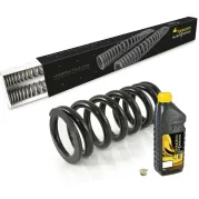 Ressorts progressifs pour fourche et amortisseur pour BMW F700GS (2012-2017)
